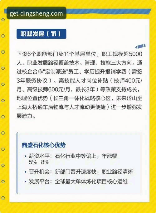 鼎盛平台可靠吗功能详解：3大核心优势与5项关键功能深度测评